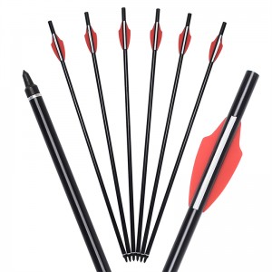 Elong Outdoor 110300-01 20inch Airgun Aluminium Wał Kostka Łucznictwo Arrow Sprzęt do fotografowania