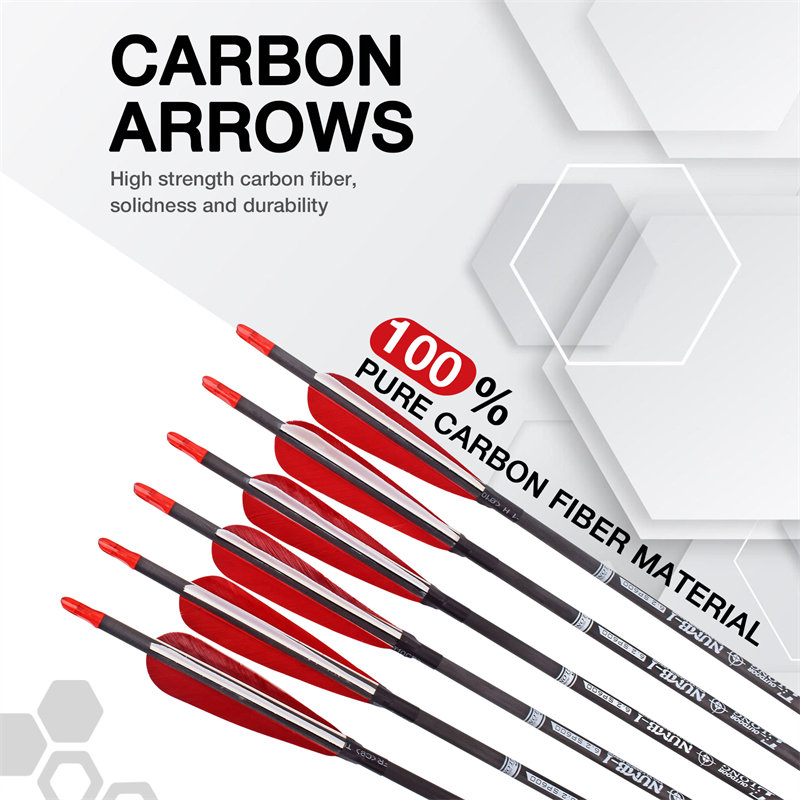 1768638885.jpg carbon arrow elongarrow13.jpg